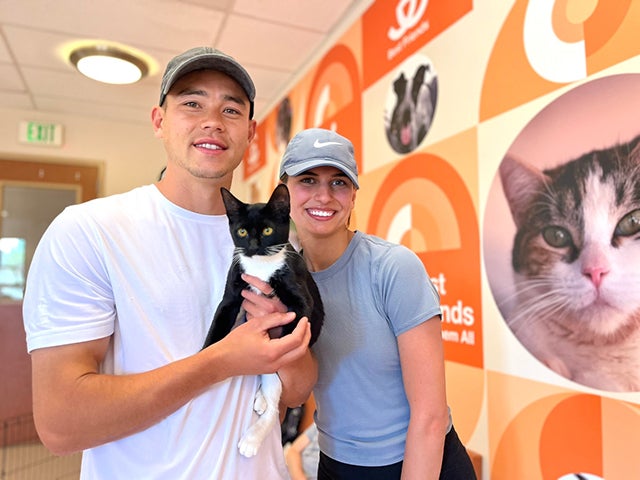 From Kennels to Clicks: What Marketing Strategies Actually Drive Adoptions