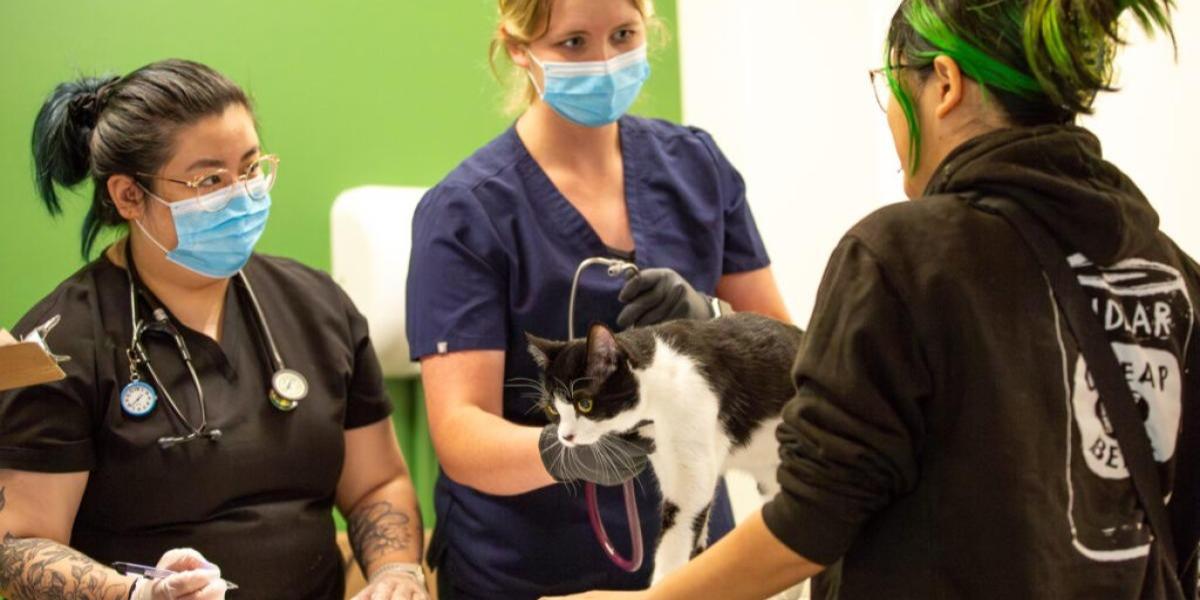 One Health Clinic Quarterly Coffee Hour