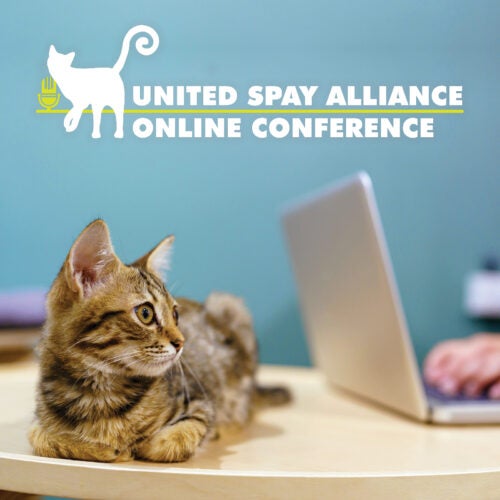 2025 United Spay Alliance Online Conference