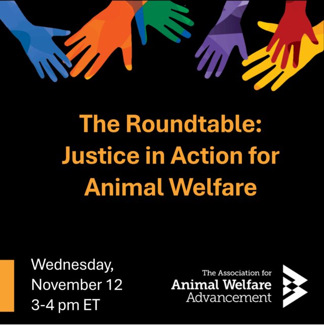 The Roundtable: Justice in Action for Animal Welfare 