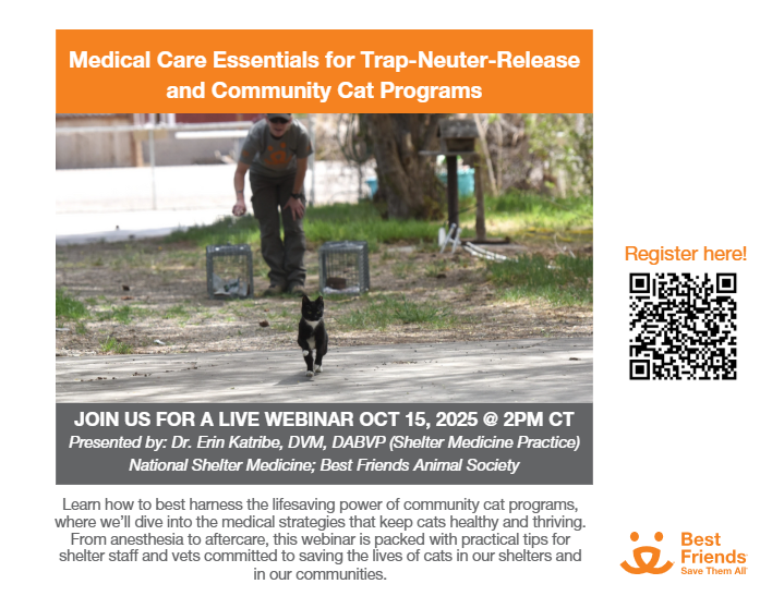 Medical Care Essentials for Trap-Neuter-Release and Community Cat Programs