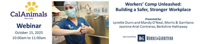 Worker's Comp Unleashed