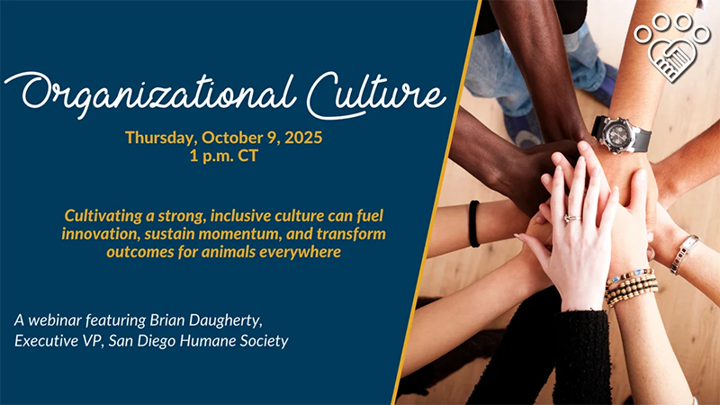 Organizational Culture - Human Animal Support Services