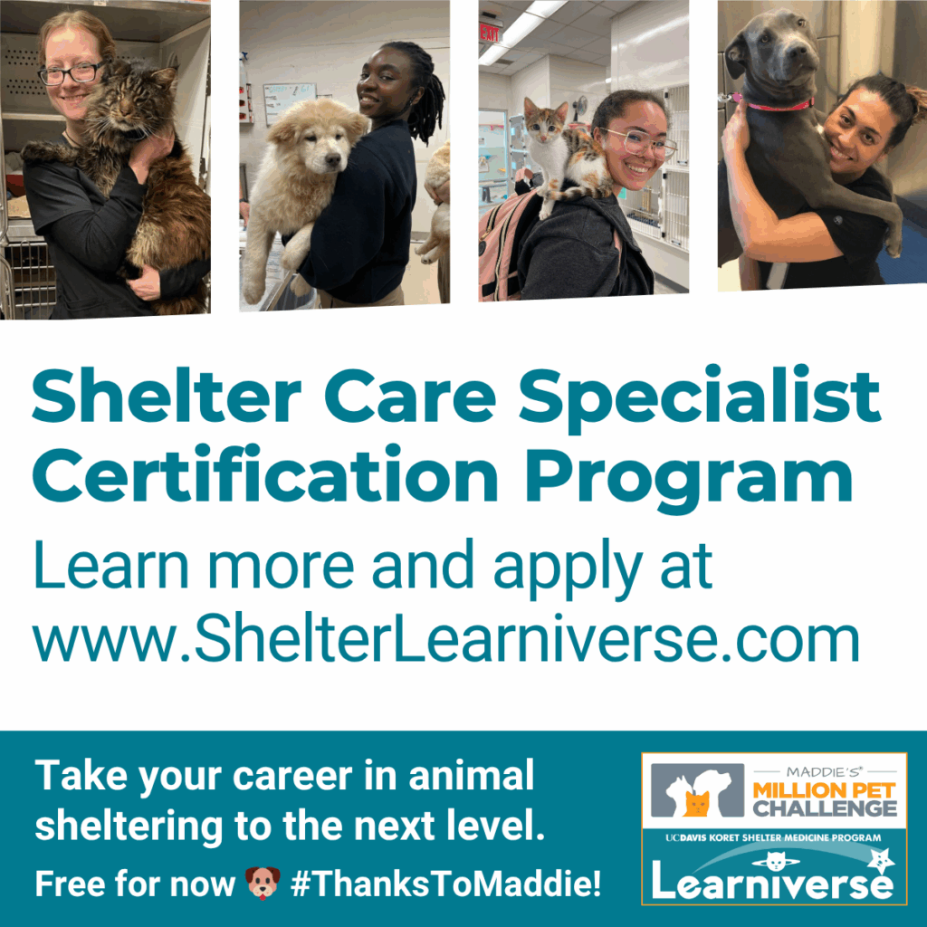 Apply for the next session of the Shelter Care Specialist Certification Program