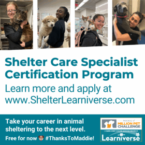 Apply for the next session of the Shelter Care Specialist Certification Program