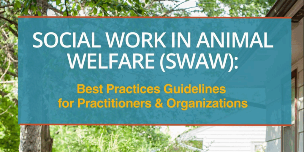 Social Work in Animal Welfare