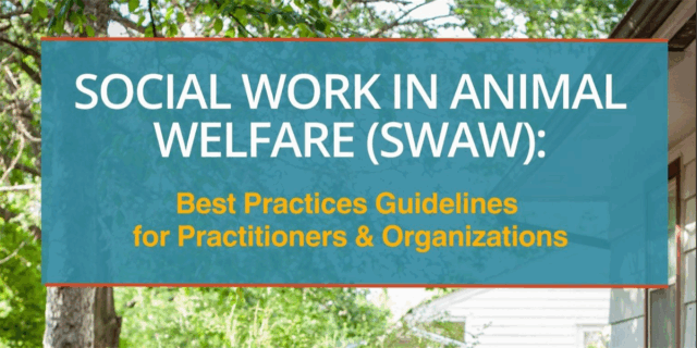 Social Work in Animal Welfare