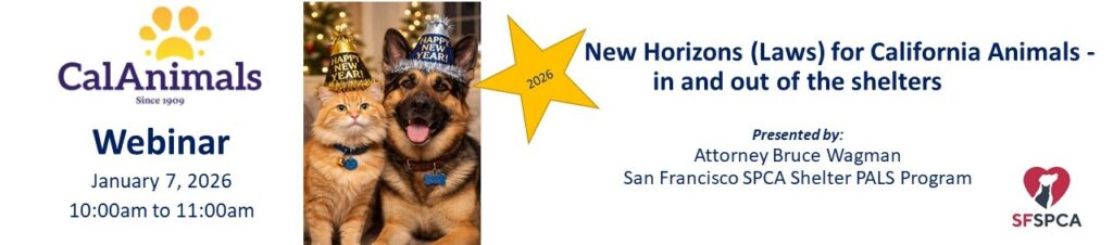New Horizons (Laws) for California Animals – in and out of the shelters