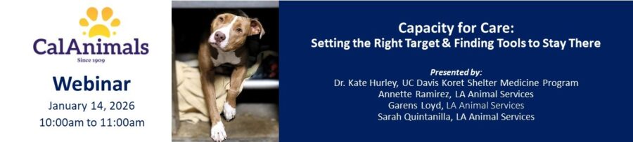 Capacity for Care CalAnimals webinar
