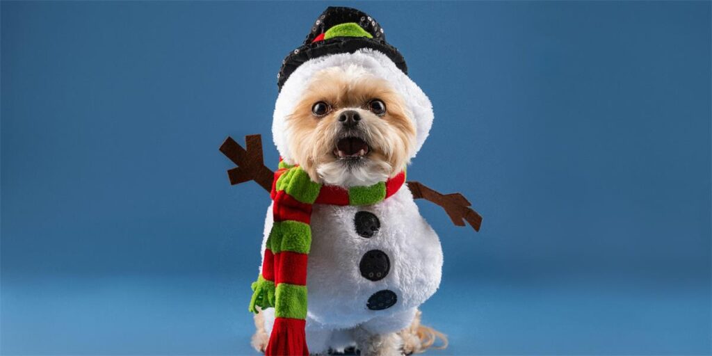 Doors Wide Open: Pawsitive Peer Support: Helping Each Other Without the Heavy Load