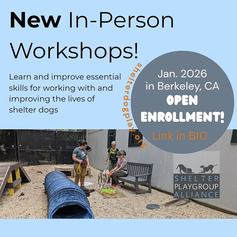 Shelter Playgroup Alliance January 2026 Workshop