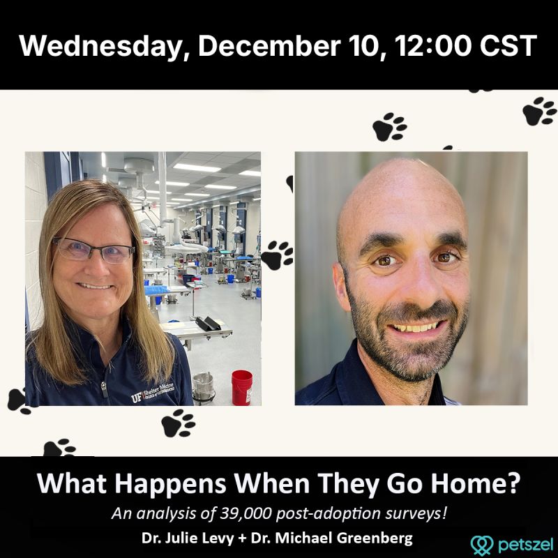 What Happens When They Go Home?