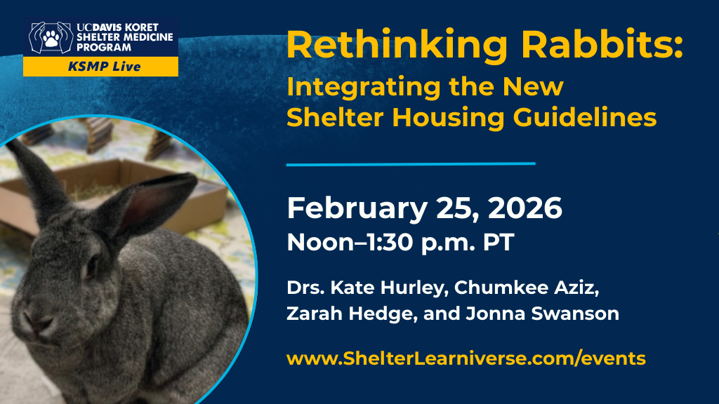 Rethinking Rabbits webinar