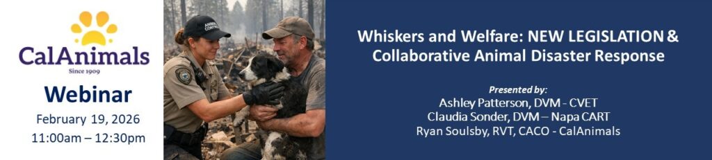Whiskers and Welfare webinar