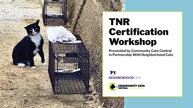 TNR Certification Workshop