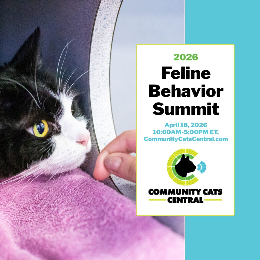 Feline Behavior Summit 2026