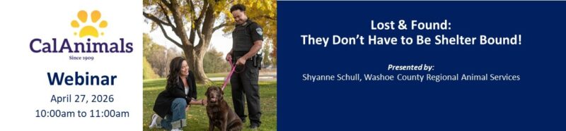Lost & Found: They Don’t Have to Be Shelter Bound!