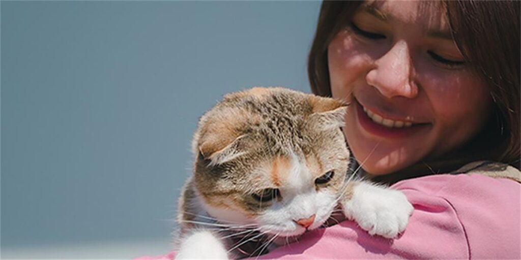 Cat rests on woman's shoulder