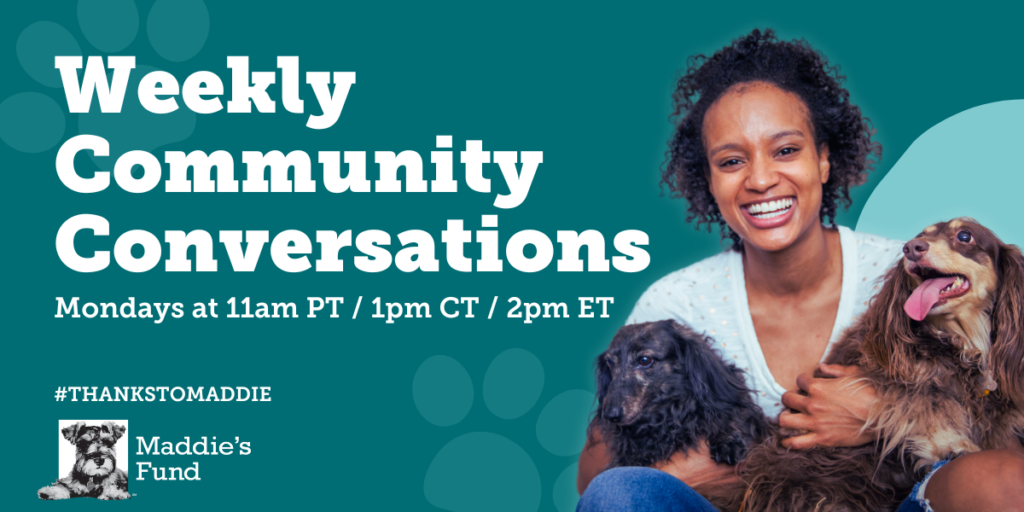 Maddie's Weekly Community Conversations #ThanksToMaddie