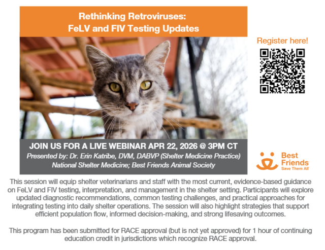 Rethinking Retroviruses: FeLV and FIV Testing Updates