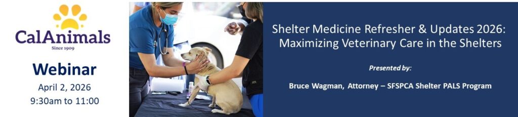 Shelter Medicine Refresher and Updates 2026: Maximizing Veterinary Care in the Shelters