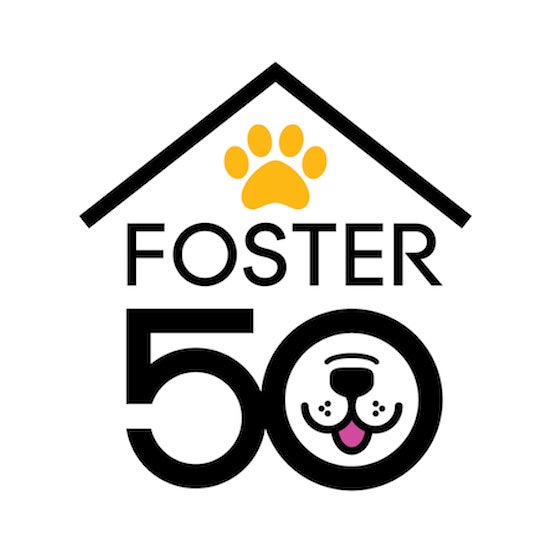 Foster 50