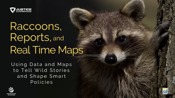Raccoons, Reports and Real-Time Maps: Using Data and Maps to Tell Wild Stories and Shape Smart Policies