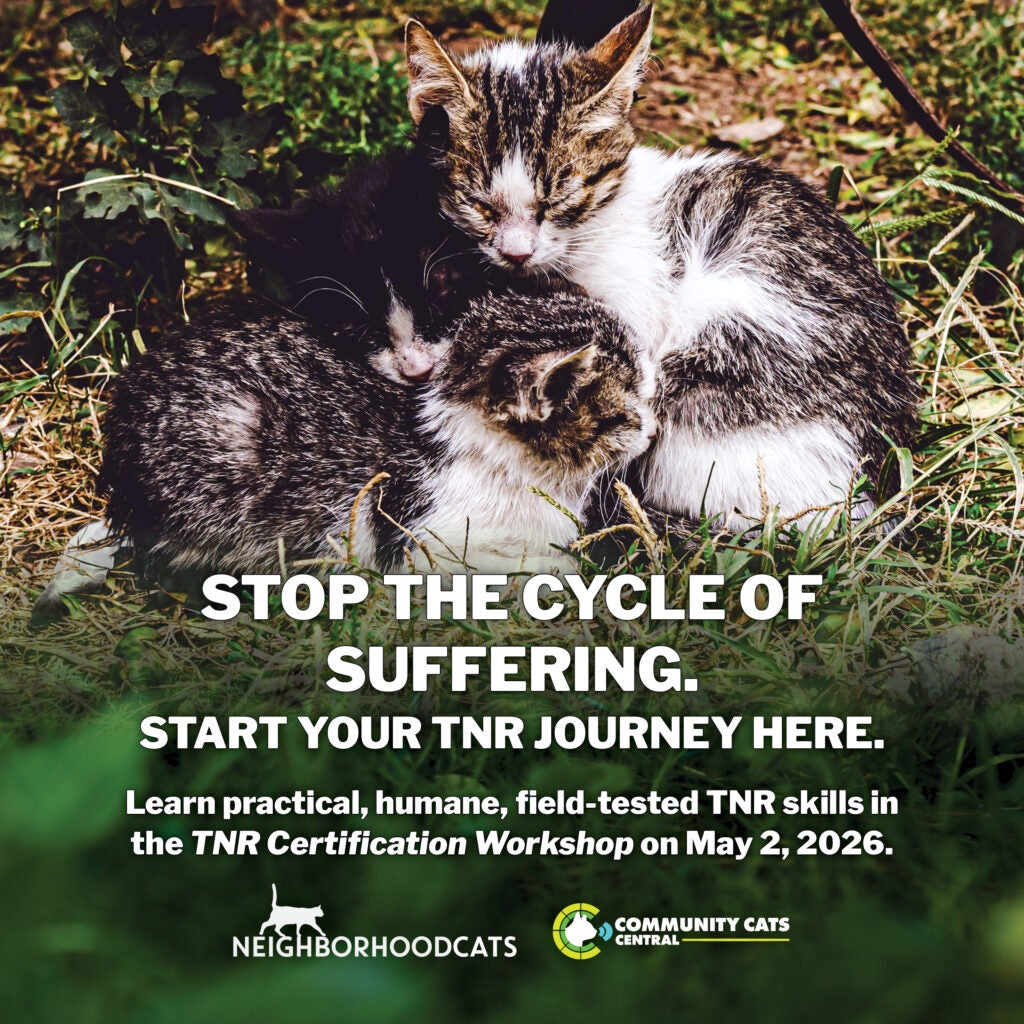 TNR Certification Workshop