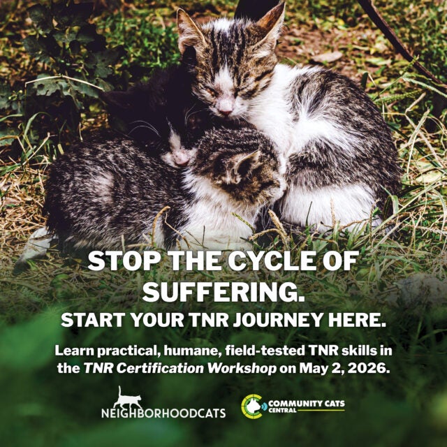 TNR Certification Workshop
