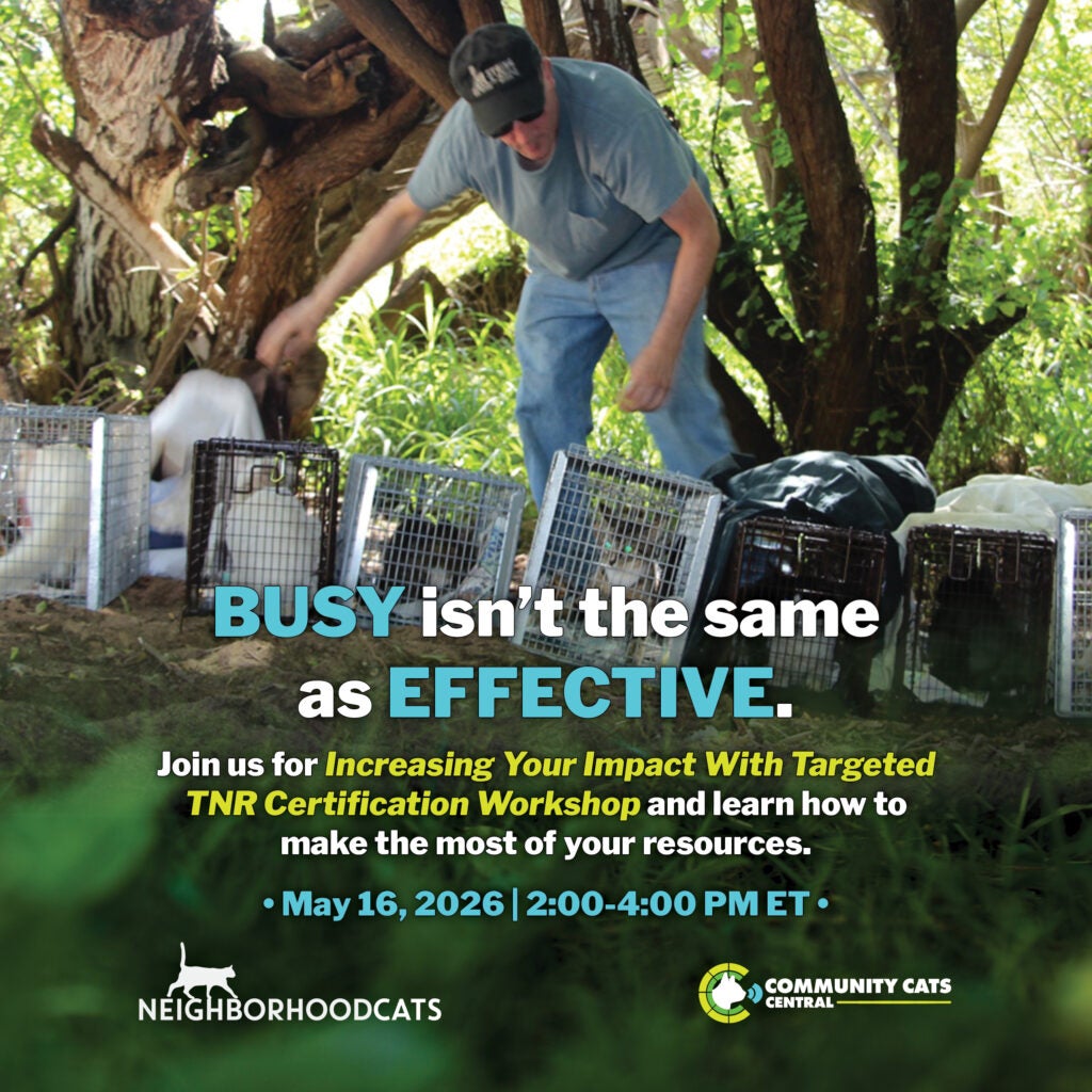 Increasing Your Impact With Targeted TNR