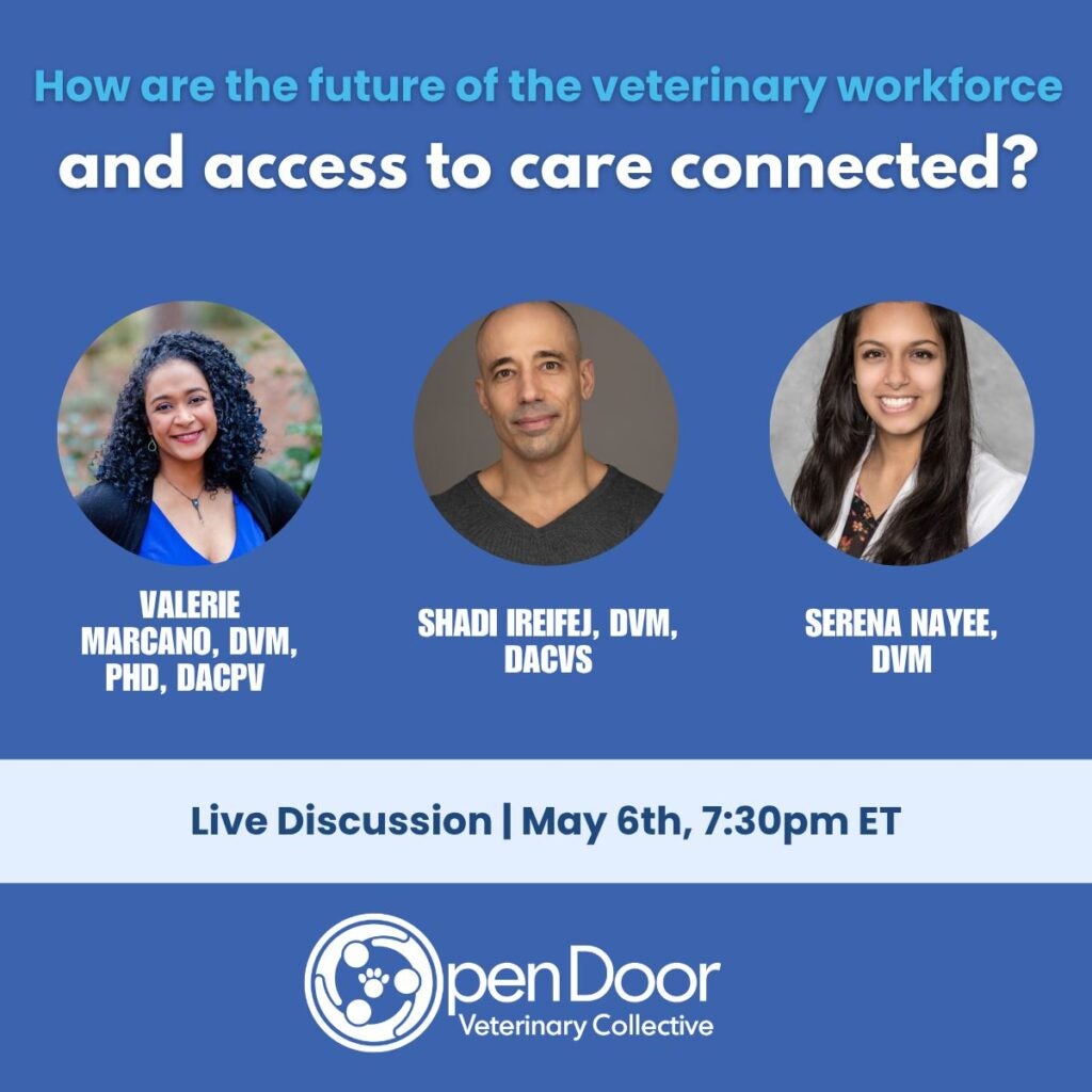 How are the future of the veterinary workforce and access to care connected?