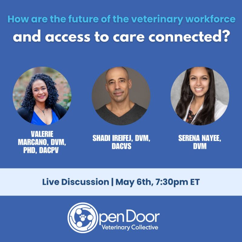 How are the future of the veterinary workforce and access to care connected?