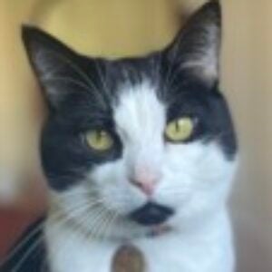 Profile photo of Elise Pollard