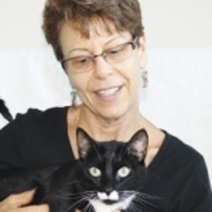 Profile photo of Mickey Zeldes